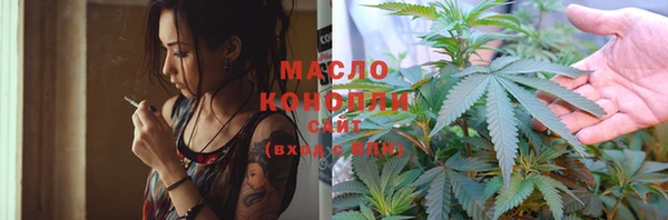 шишки Бородино