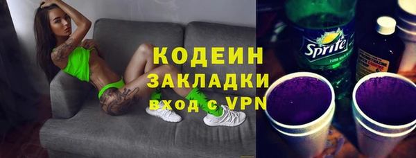 шишки Бородино