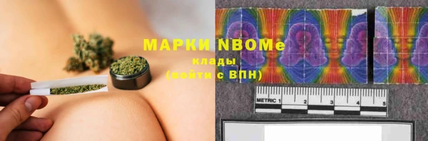 шишки Бородино