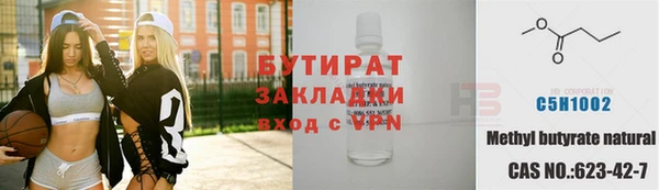 шишки Бородино