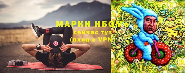 шишки Бородино
