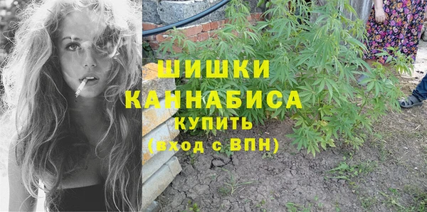 первитин Заполярный