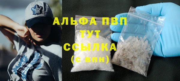 шишки Бородино