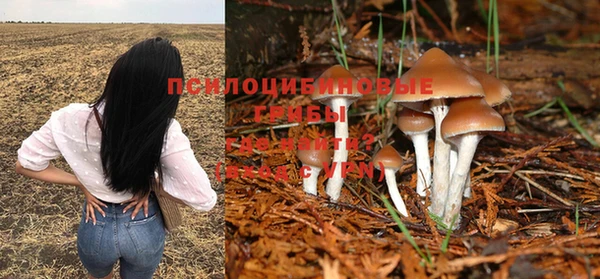 шишки Бородино
