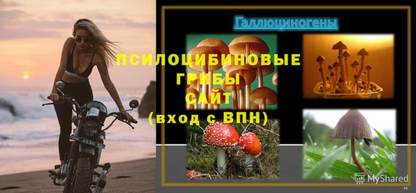 прущая мука Верхний Тагил