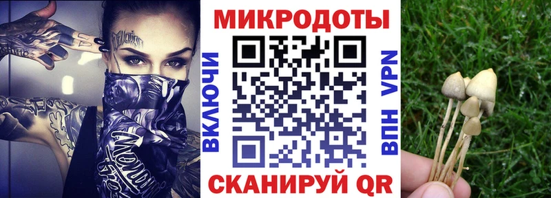 Псилоцибиновые грибы мицелий  Тутаев 